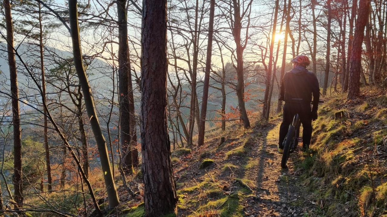 Exklusives Holzhaus Mit Bergbahn - Im Schwarzwald Vakantiehuis *
